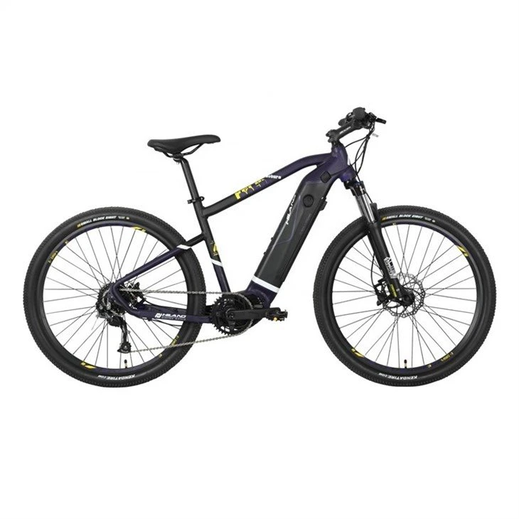 buy Electric Mountain Bike