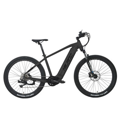 Moteur central 48v 500w 10 vitesses VTT E Bike