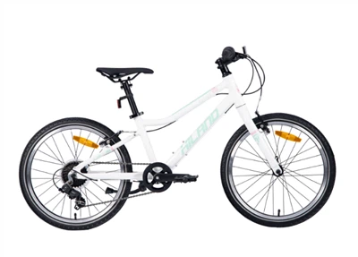 CADRE VTT 20" EN ALLIAGE, LEVIER DE VITESSES SHIMANO, PNEU À AIR