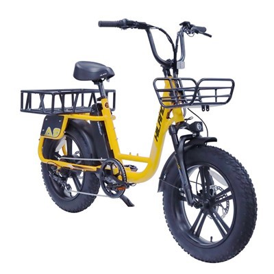 Vélo électrique 20" en alliage 48V 750W